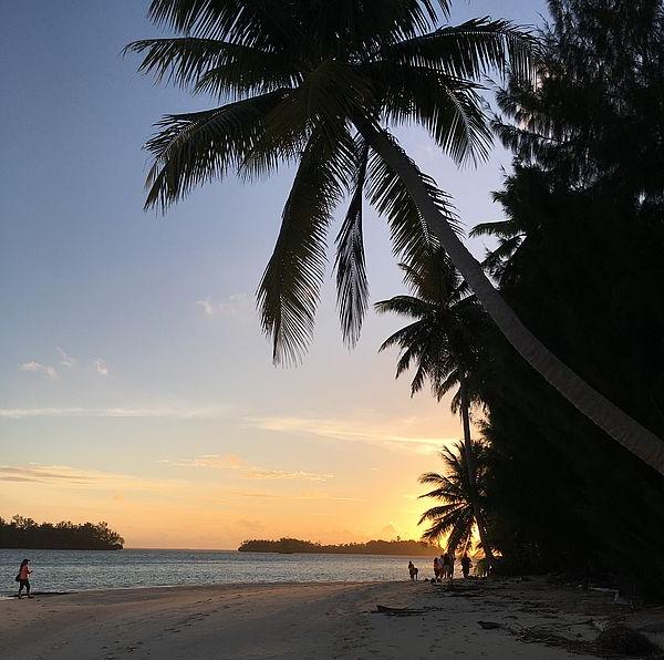 sunset on the beach with palm trees